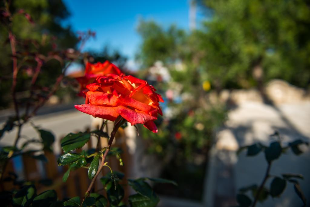 Casa Di Porto Roma Διαμέρισμα Ανω Βασιλικος Εξωτερικό φωτογραφία