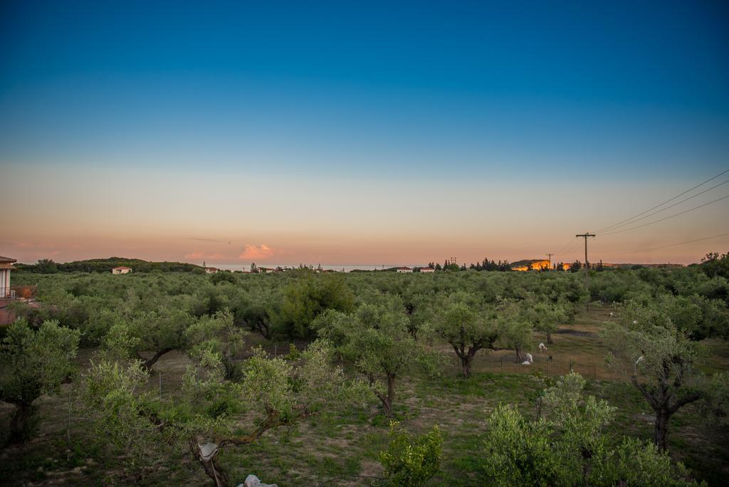 Casa Di Porto Roma Διαμέρισμα Ανω Βασιλικος Εξωτερικό φωτογραφία